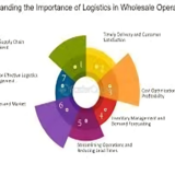 Exploring the Dynamics of Wholesale Operations